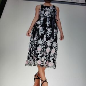 Alex Evenings Black and Pink Floral A-Line Midi Dress